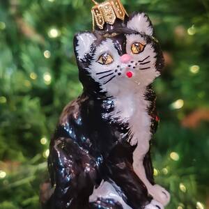 Кот